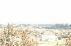 _dsc0183__800x600_.jpg